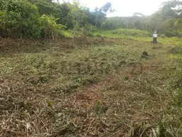 Vista 4