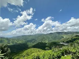 View 27
