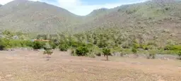 View 1