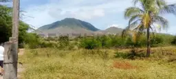 View 4