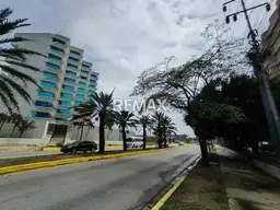Vista 14