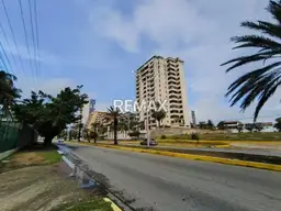 Vista 15