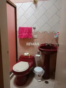 Vista 16