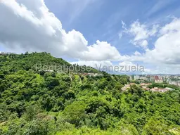 View 22