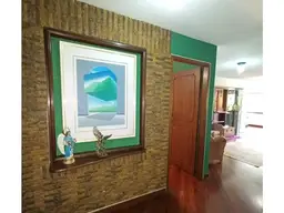 View 15
