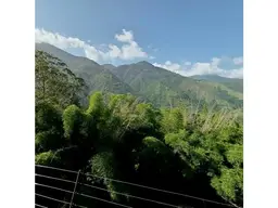 View 18