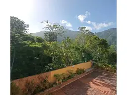 View 6