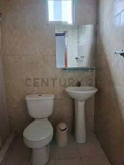 Vista 21