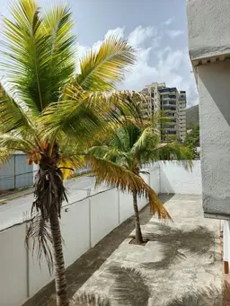 Vista 35