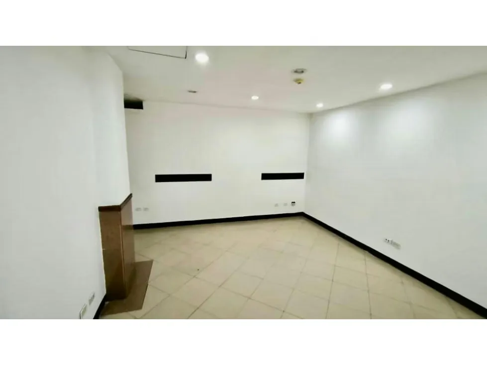 Alquilo local comercial 742m2 Chacaito 9990 - 14