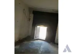 Vista 5