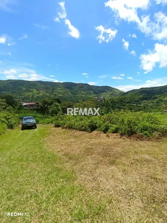 Venta de Terreno Ubicado en el Sector la Blanca, aldea Toituna Municipio Guasimos, Táchira-Venezuela - 2