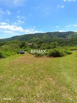 Vista 5
