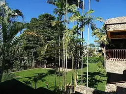Vista 4