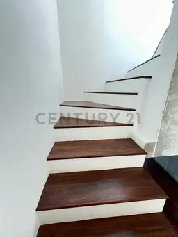 Vista 5