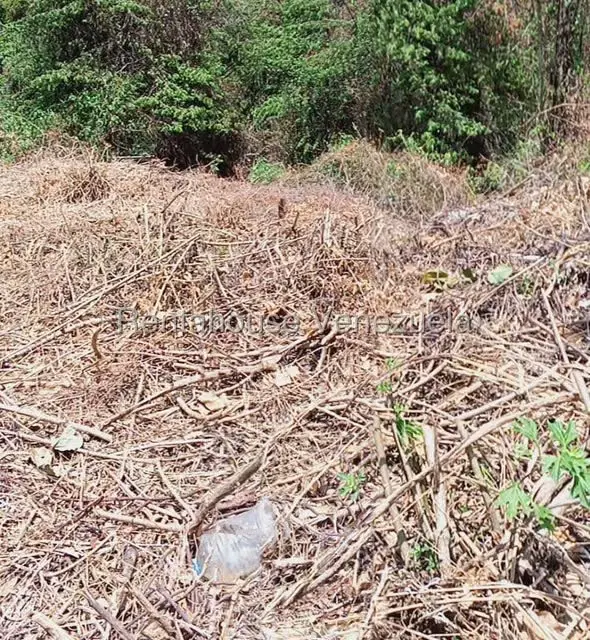 Terreno (Residencial) en Venta en La Tahona, Distrito Metropolitano - 6