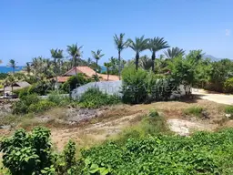 Vista 12