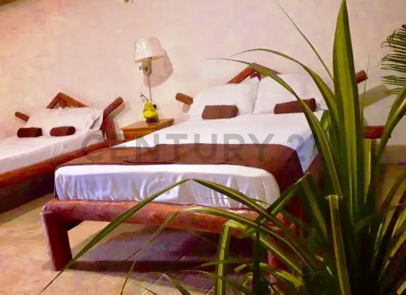Posada en Guacuco lista para trabajar - 18