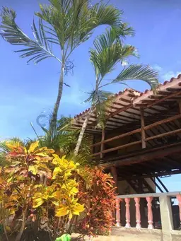 Vista 9