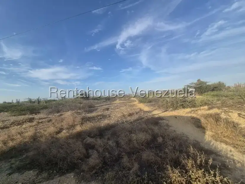 Terreno (Finca) en Venta en Los Taques, Falcon
