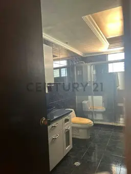View 8