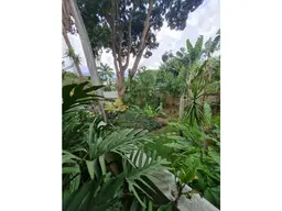 View 41