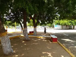 Vista 13