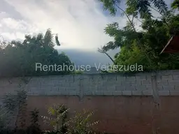 Vista 11