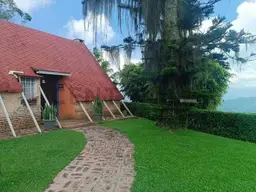 View 1