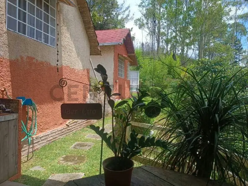 venta de hermoso chalet en el faro, San Antonio de Los Altos - 15