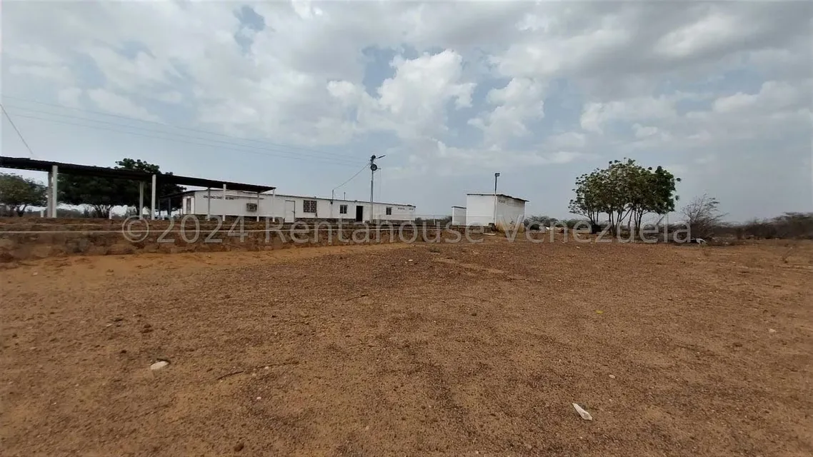 Local Comercial en Venta en Dabajuro, Falcon - 36