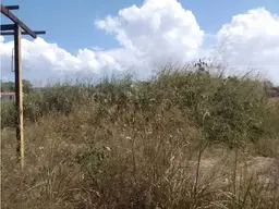 View 5