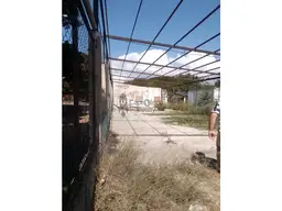 View 6