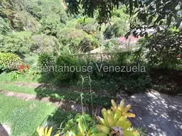 View 42