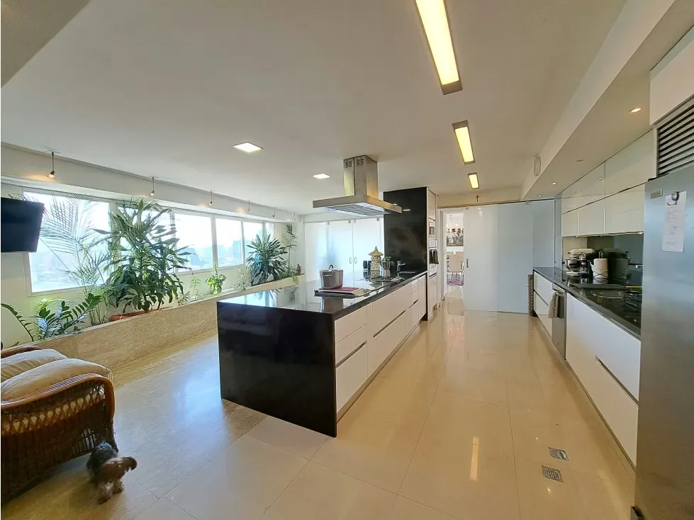 Vendo PH triplex c/terraza 615m2 Las Mercedes 1294 - 14