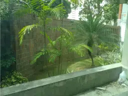 Vista 4
