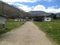 Vista 12