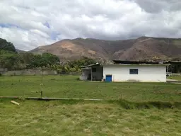 Vista 14
