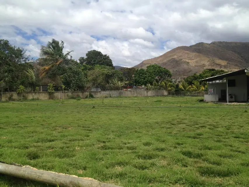 Terreno (Comercial) en Venta en El Manantial, Aragua - 15