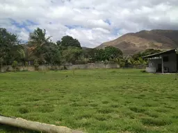 Vista 15