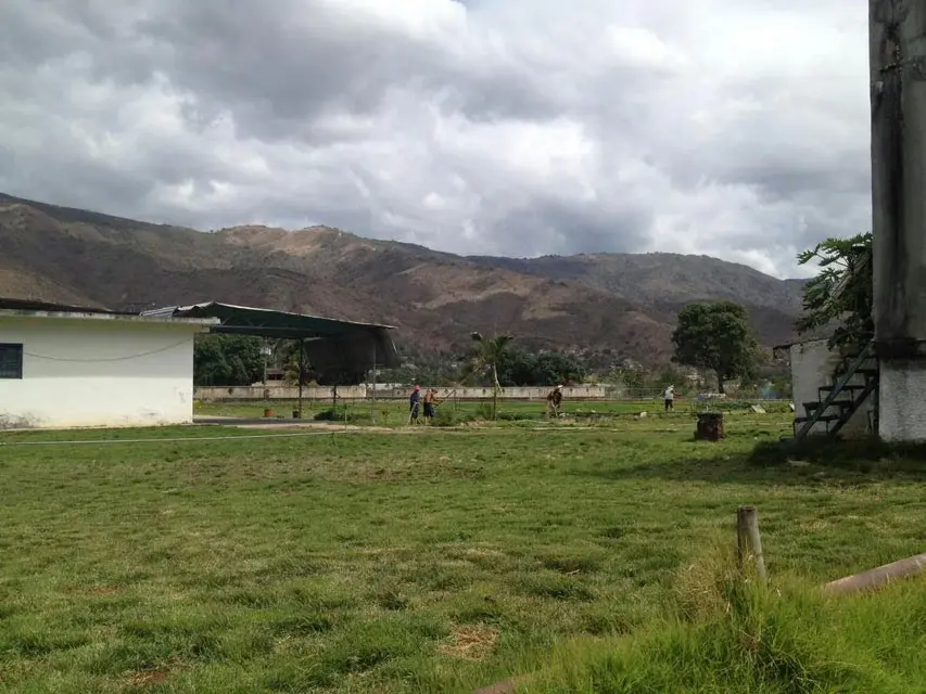 Terreno (Comercial) en Venta en El Manantial, Aragua - 16