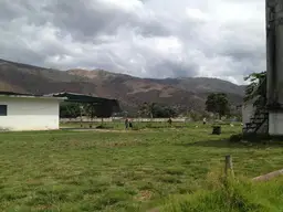 Vista 16