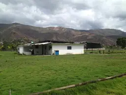 Vista 18