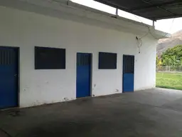 Vista 19