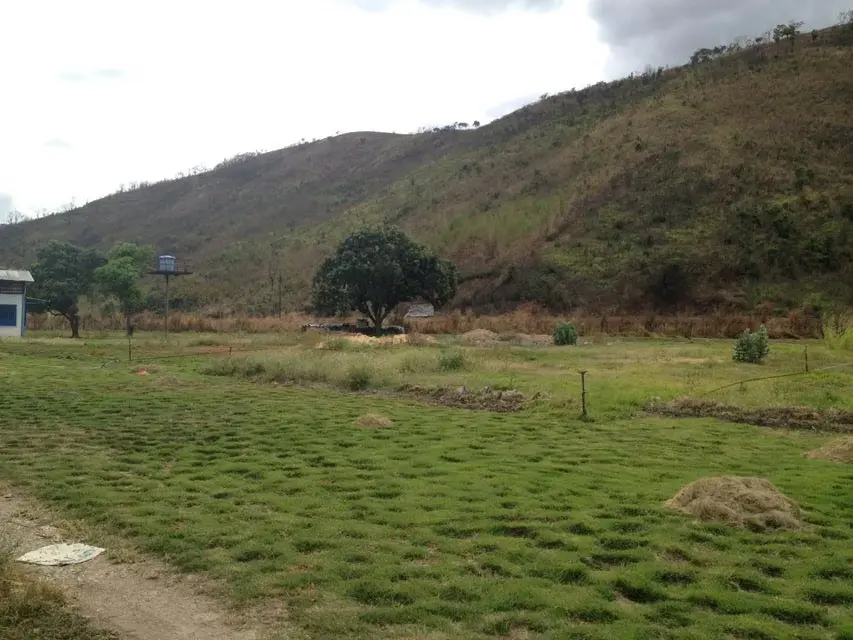 Terreno (Comercial) en Venta en El Manantial, Aragua - 37