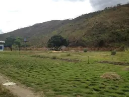 Vista 37