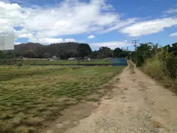 Vista 40