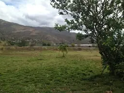 Vista 44