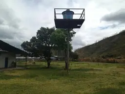 Vista 50