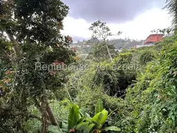 View 1